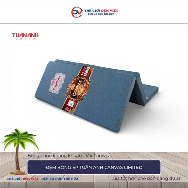 Đệm bông ép Tuấn Anh Canvas Limited 3